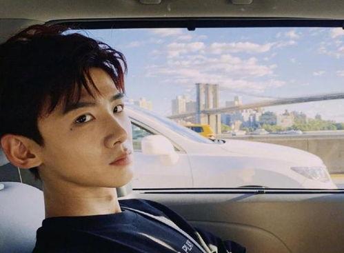 娱乐圈爆料客白敬亭,娱乐圈爆料客的神秘面纱